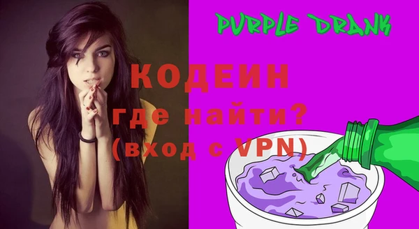 гашик Вяземский