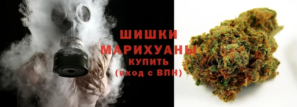 дмт Горнозаводск