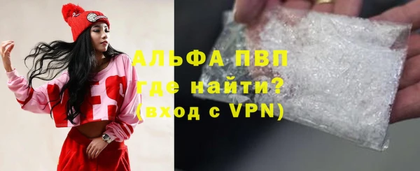 ГАЛЛЮЦИНОГЕННЫЕ ГРИБЫ Вязники