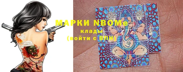 ГАЛЛЮЦИНОГЕННЫЕ ГРИБЫ Вязники
