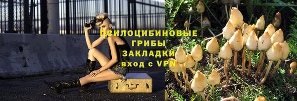 гашик Вяземский