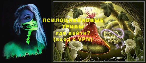 дмт Горнозаводск