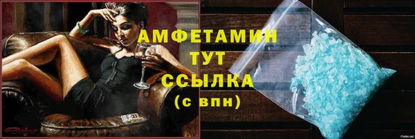 гашик Вяземский